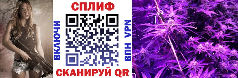 Канабис семена  Инта 